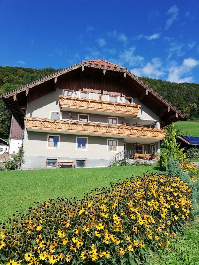 Vila Gesundheitshof Lohninger Mondsee Exteriér fotografie